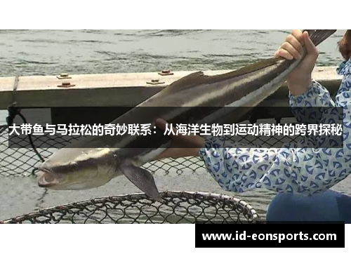 大带鱼与马拉松的奇妙联系：从海洋生物到运动精神的跨界探秘