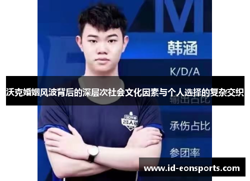 沃克婚姻风波背后的深层次社会文化因素与个人选择的复杂交织
