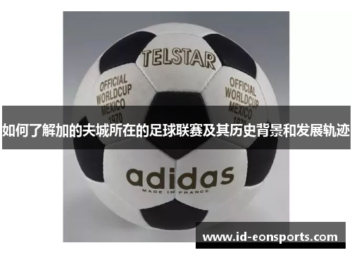 如何了解加的夫城所在的足球联赛及其历史背景和发展轨迹 如何了解加的夫城所在的足球联赛及其历史背景和发展轨迹